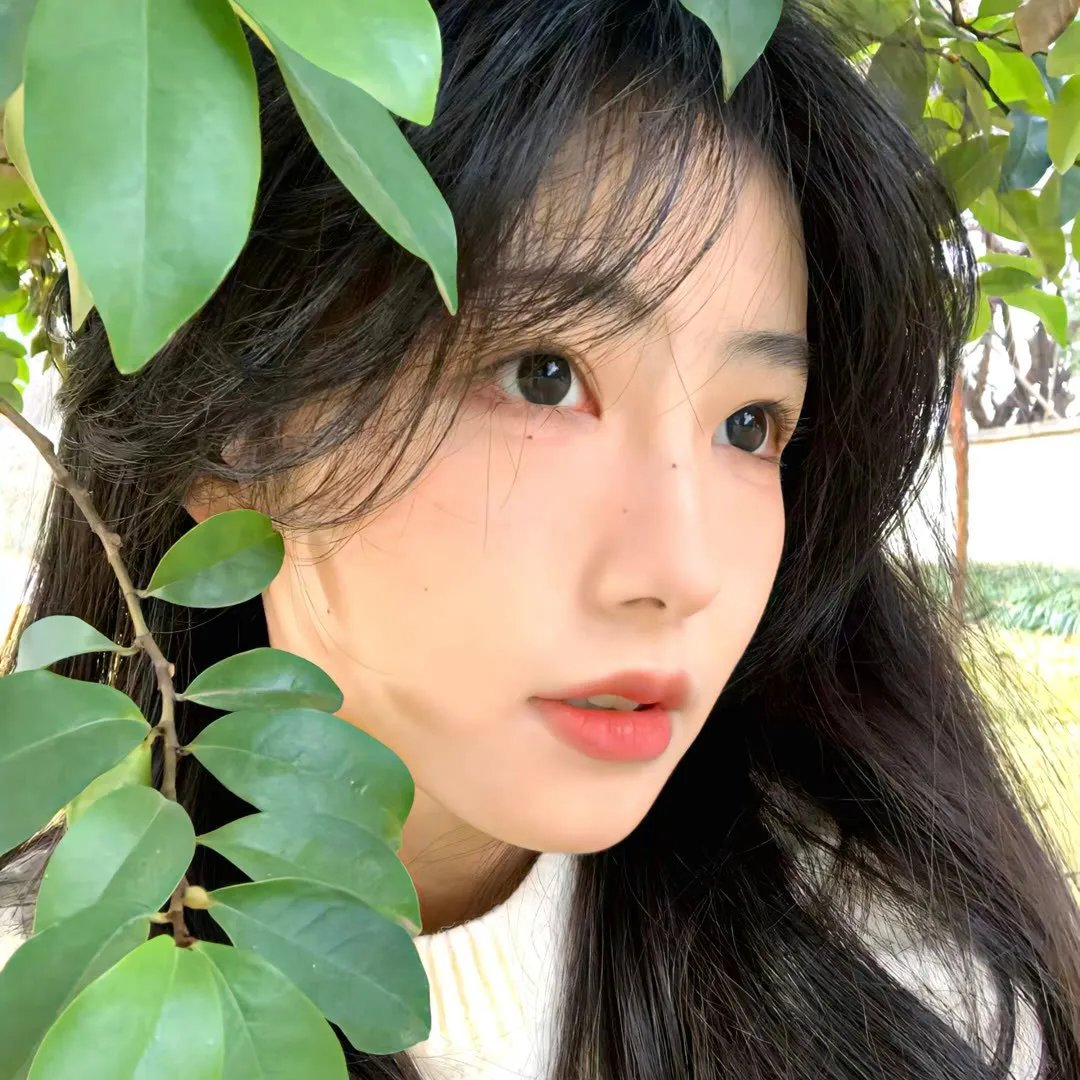 迷途之狼