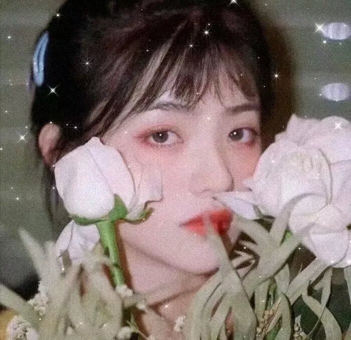 寸草心